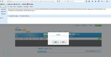 一個(gè)cms案例實(shí)戰(zhàn)講解php代碼審計(jì)入門